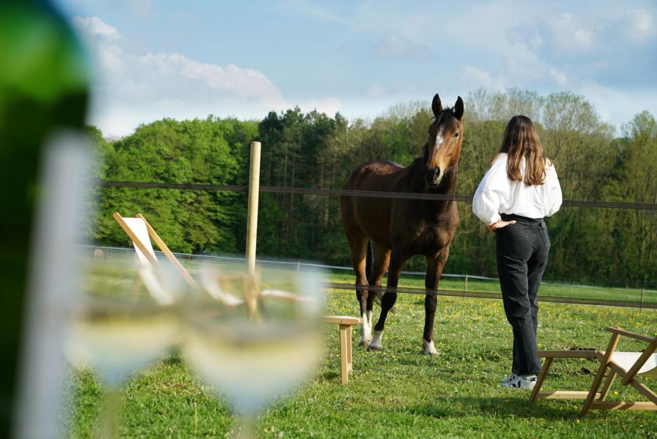 Villa Tiny House Centre Equestre - 35 Mins De Paris Chambly Exterior foto